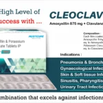 CLEOCLAV-1000