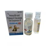 CLEOCLAV-KID
